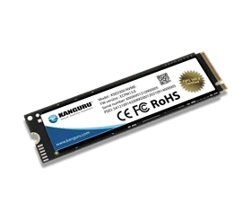 דיסק M.2 NVMe פנימי מוצפן - Kanguru Defender SED300™ FIPS 140-2 Certified